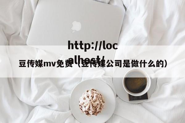 豆传媒mv免费(豆传媒公司是做什么的)